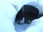 Descente de la Vallee Blanche par l'Envers du Plan